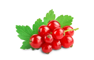 Дрип-пакеты Кения Центральное Высокогорье