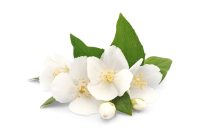 Колумбия Кундинамарка