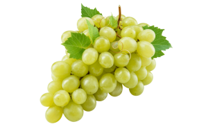 Кофе Эфиопия Гуджи Шамола Гр. 2