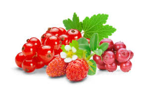 Руанда Мутетели