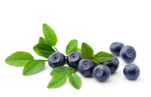 Капсулы Nespresso Эфиопия Гедеб